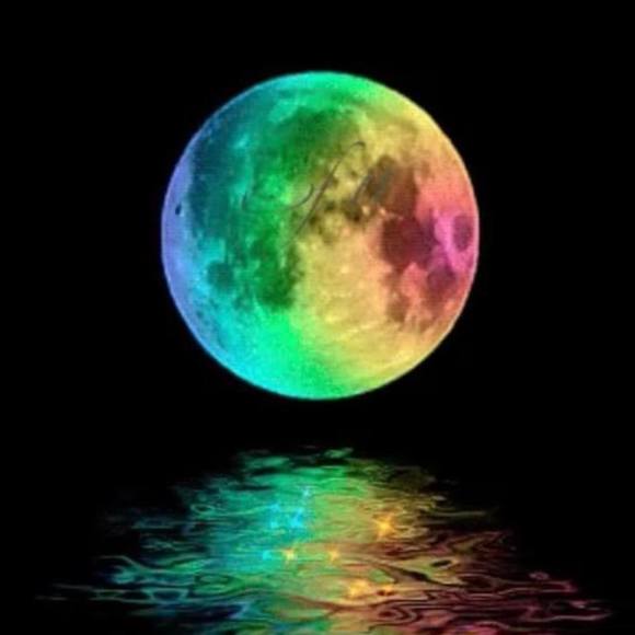 Meet your Posher, Pamela - Picture 1 of 1